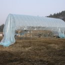 초보농군의 비닐하우스 만들기 이미지