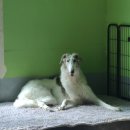 삼육사로31 이미지