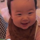 담별 이미지