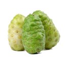 노니 필라테스 이미지