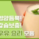 리코타치즈 만들기 칼로리 보관 우유로 치즈 만들기 우유요리 이미지