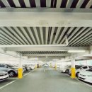 궁전라벤더 이미지