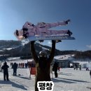 용평사거리 | [알펜시아 리조트] 알펜시아 스키장 꿀팁 셔틀버스, 정설시간, 맛집 먹거리 후기 (곤돌라 없음)
