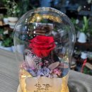 이든테라피 이미지