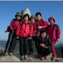 오동골2 Daum카페