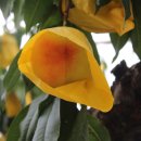 신월랑농장 이미지