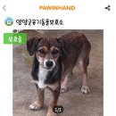 멍돌이와 멍순이 이미지