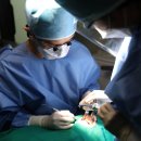 서울다루치과의원 이미지