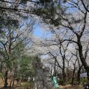 김진철 싹터나는아침 이미지