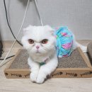 구이일이샵