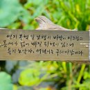 목책미로