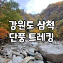 신리너와마을 | 강원도 삼척 석개재&amp;덕풍계곡 가을 단풍 트레킹 시즌여행 승우여행사 산골밥상 청국장 맛집