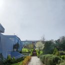 2학기(3월~6월) / 서예교실(수-19시) | 튀르키예 이스탄불 국제 학교 IICS 보낸 후기