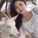 미인목장 이미지