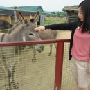 우리들농장(소) 이미지