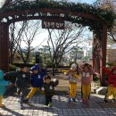 코끼리자연어린이집 이미지