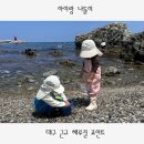 오류2리 | 대구 근교 해루질 포인트, 아이랑 가기좋은 경주 감포 오류2리 해루질 후기