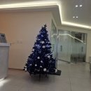 비바덤의원 | 양주 비바덤 의원 후기 (물광주사+스킨보톡스)