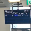 행복여행 게스트하우스 | 💬제주도 여자 혼자 여행 3박 4일 일정후기✈️[게스트하우스파티,혼술바,서우봉,함덕해수욕장,도두동무지개...