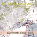 야호 바위 이미지