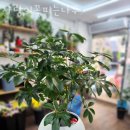 영백한의원 이미지