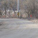 내성천 제방도로 이미지