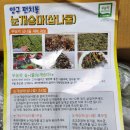 가칠봉농원님 무농약 명이나물 (산마늘)눈개승마(삼나물) 판매중 이미지