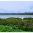 우포늪생태공원 이미지