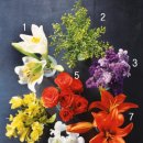 플라워 테라피(B) 이미지