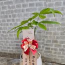 파리바게뜨중동그린타운 이미지