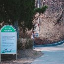 영종초등학교 금산분교 이미지