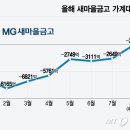 [단독] 새마을금고만 대출규제 &#39;열외&#39; &#39;풍선효과&#39; 이유 있었다. 이미지