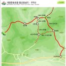 봉화체육사