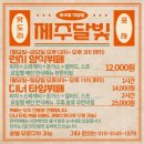 헤이다이버스 | 가성비 최고 ‘제주달빛좋은밤’ 주류 무제한 뷔페