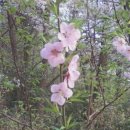 반송동138 이미지