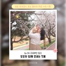 11305-18-308-9 | 자유부인 일지 EP.06 | 또또와 함께 보내는 첫봄🌸(무심천 벚꽃, 오창 무이안, 리즈베이커리)