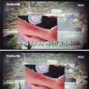 미국 경찰서 로봇개 배치하는 이유 이미지