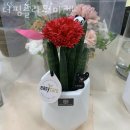 상계동꽃집 더핌플라워마켓 가격 위치 영업시간