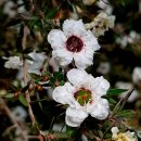 김원삼행정사사무실 이미지