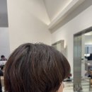 정헤어이야기 | “화사 단발” 다음 이야기 — 실제 고객 후기 카이정헤어 현진실장