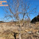 거산2리 마을회관 이미지