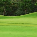 현대골프프라자 이미지