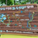 제 194차 3050울산 산악회 강원도 인제 대암산 용늪 정기산행 공지 이미지