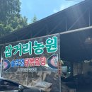 마리면 신기삼거리경로당 | [담양] 삼거리농원 :: 솥뚜껑 닭볶음탕 담양 맛집, 방문 꿀팁 내돈내먹 후기