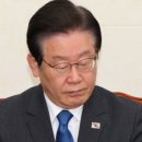 세건 이미지