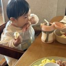 아르떼보엠 이마트24 | 돌아기와 제주도 3박 4일 여행 후기｜롯데호텔 제주 숙박, 엔젤렌트카, 김포공항 주차까지 총정리