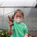 꿈내리어린이집 이미지