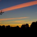 세종청사공인번역행정사사무소 이미지