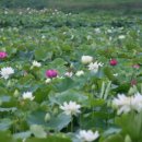 조남농장 이미지