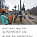스카이 오토 이미지